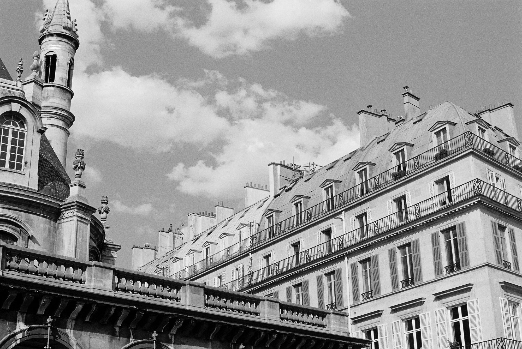 Rooves - Paris